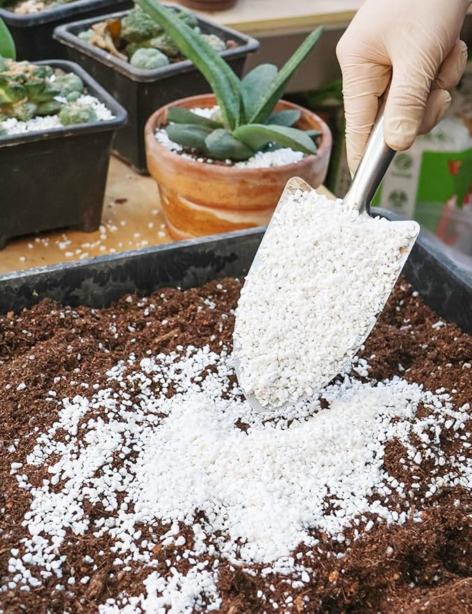 TOYPOPOR Perlite for Plants, (6qt) 3-6mm Organic Perlite for Gardening, Perlite for Plants Indoor, Soil Additive Conditioner Mix Improve Drainage and Ventilation Promote Root Growth and Soil Health