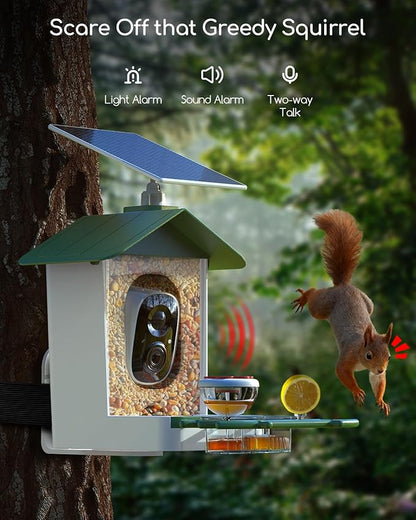COOAU 5MP Smart Bird Feeder with Camera Solar Powered, Outdoor Bird House Cam with 11,000+ AI Birds Species Identification, 3K UHD Live Video Watching, Instant Notifications,Ideal Gift for Bird Lovers