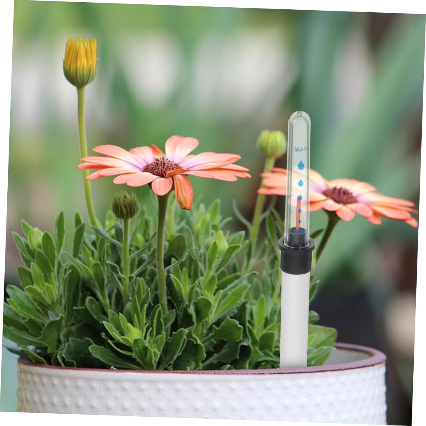 Angoily 2pcs Water Level Indicator Gardening Water Level Meter Plant Buoy Flower Pot Water Gauge Moisture Meter House Plant Pots Water Moisture Tester Suite White Scale Plastic