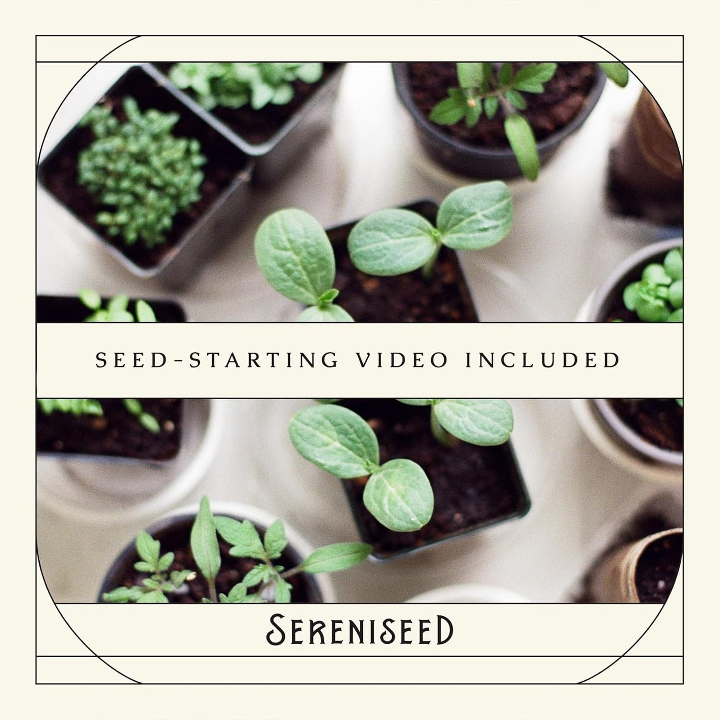 Sereniseed Certified Organic Herb Seeds (15-Pack) – Non GMO, Heirloom – Seed Starting Video