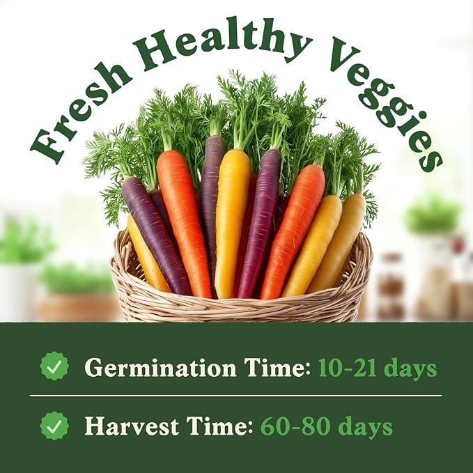 Seedboy Organic Rainbow Carrot Seeds for Planting Indoor and Outdoor, Non-GMO and USDA Certified Vegetable Seed Packet for Hydroponic Garden Indoor or Planting Outdoors (Rainbow Carrots)