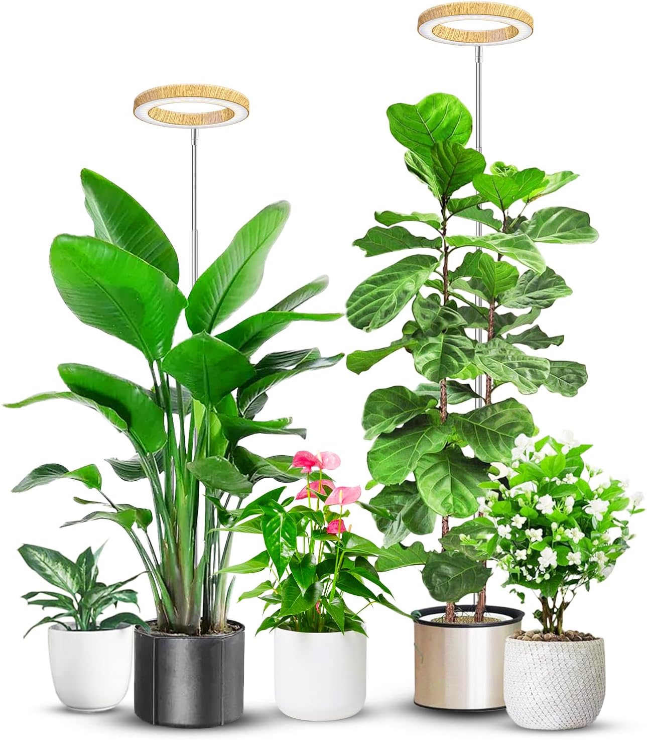 Grow Lights for Indoor Plants, Full Spectrum Plant Lights for Indoor Growing with 6/12/16H Timer, 3 Optional Spectrums, 5 Brightness, Height Adjustable 10"-65" Faux Wood Grain Growing Lamp