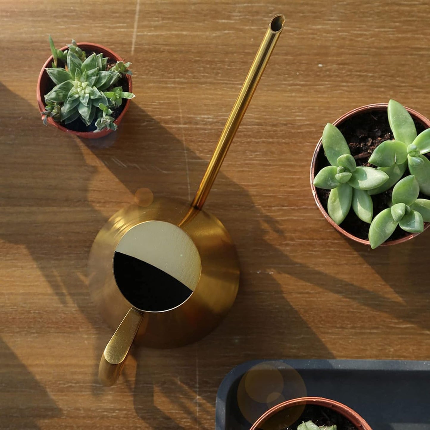 Watering Can, 1500ml Stainless Steel Long Spout Watering Cans, Gold Water Can Suitable for Potted Plants, Hanging Plants, and Outdoor Gardens