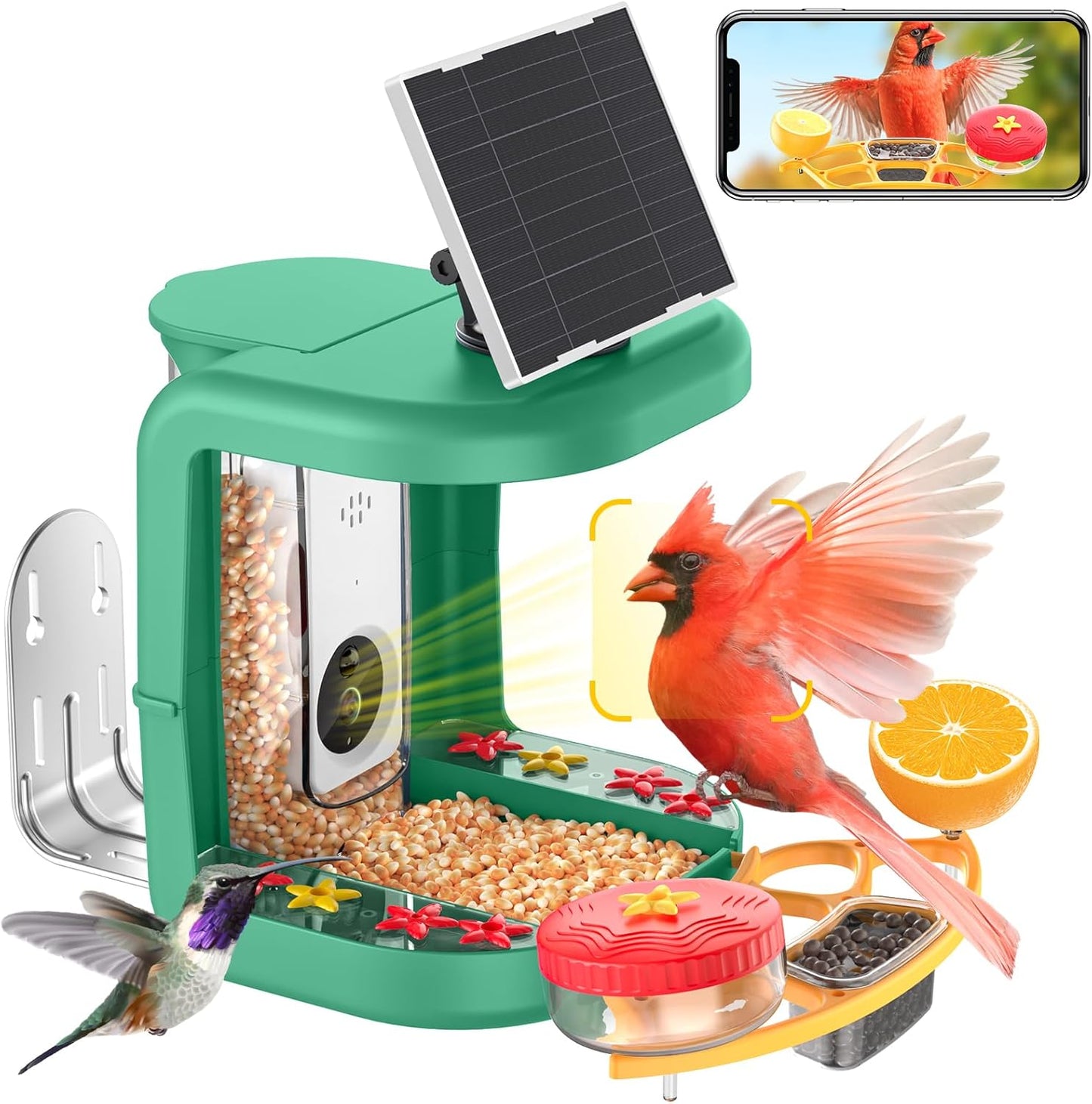 Solar-Powered Smart Bird Feeder with Camera Solar Powered,2K Video Recording, Auto Bird ID & Extensive DIY Accessories,2 in 1 Hummingbird Feeder Camera Ideal Present for Bird Lovers (Green)