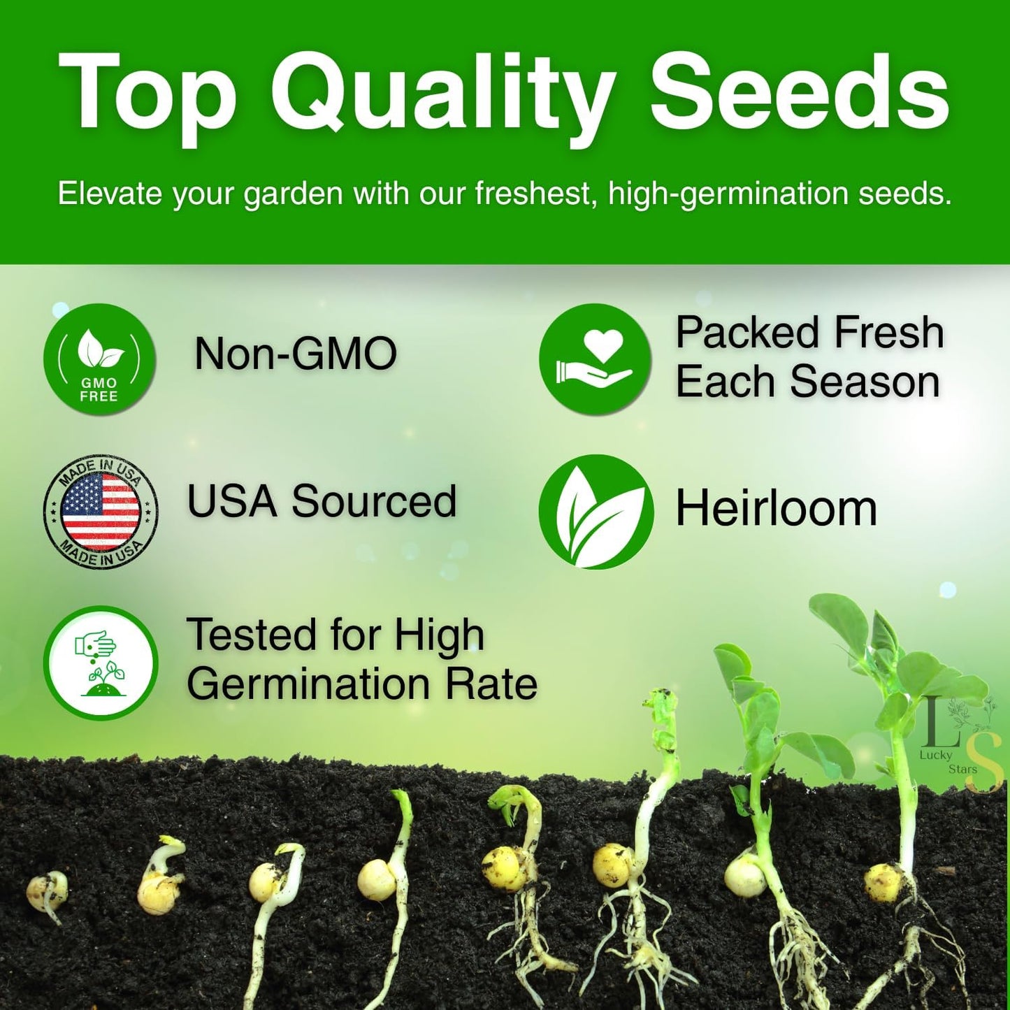 2000 Vietnamese Perilla Seeds - La Tia to - AKA. Shiso Seeds, Perilla Frutescens, Beefsteak Plant, Asian Mint Thai Basil Seeds, Asian Herb, Microgreens/Micro Herbs, Heat & Drought Tolerant