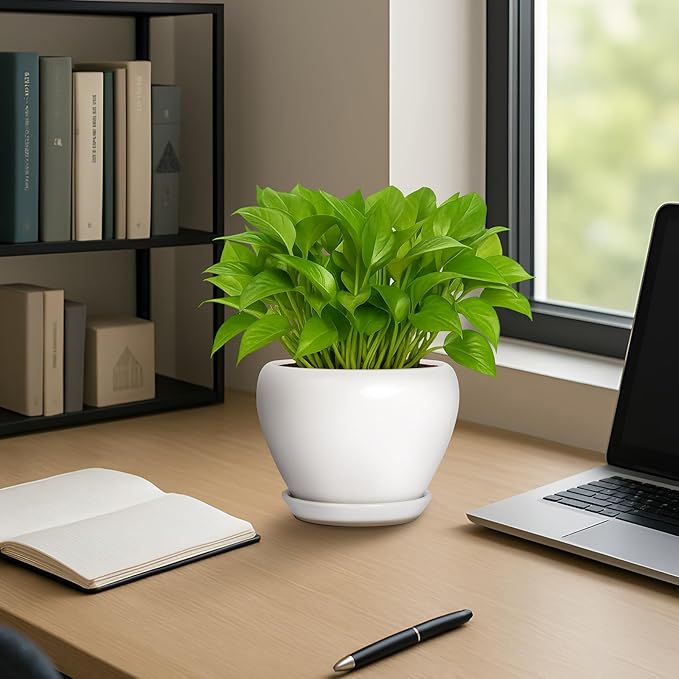 Deep Dream 6 Inch Plant Pot - Ceramic Planter with Drainage Hole and Trays, Modern Round Flower Pot, Planters for Indoor Outdoor Plants, Home Garden Decor, White