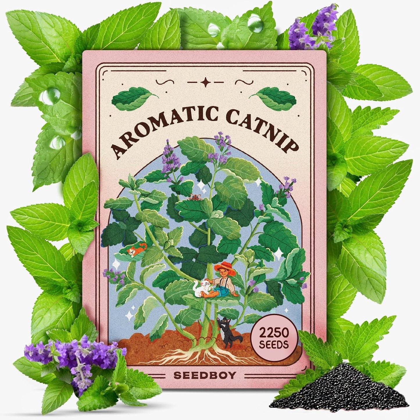 Seedboy Catnip Seeds for Planting Indoor and Outdoor, Non-GMO Herb Seed Packet for Hydroponic Garden Indoor or Planting Outdoors (Catnip)