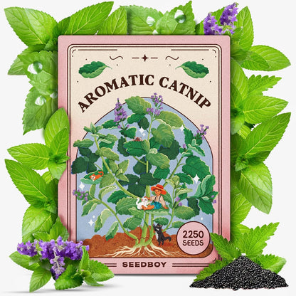 Seedboy Catnip Seeds for Planting Indoor and Outdoor, Non-GMO Herb Seed Packet for Hydroponic Garden Indoor or Planting Outdoors (Catnip)