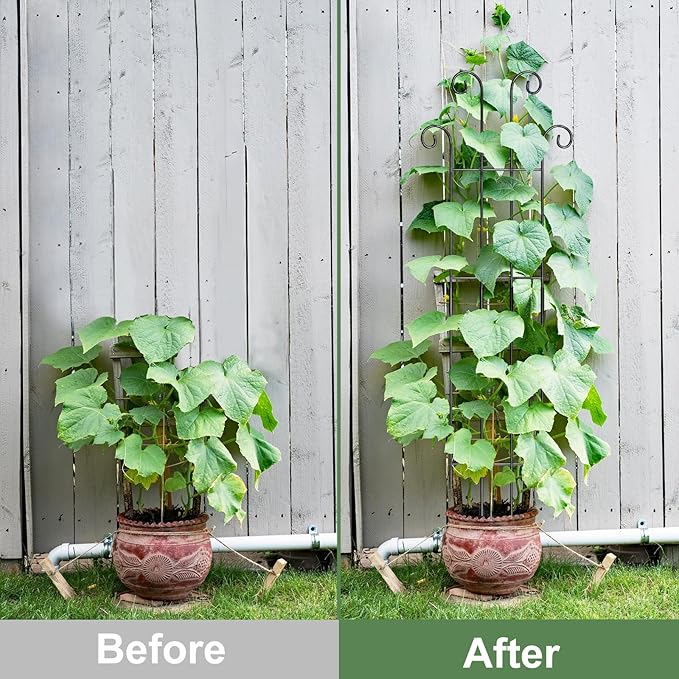 Coomin 32.6in Monstera Plant Support Stakes for Outdoor Plants, Garden Trellis for Climbing Plants, Metal Stakes for Potted Plants Pothos Plant Climber Support, 2P