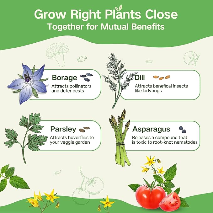 Lush&Dew Full Companion Plants Seed Bank, Gardening Gifts, 32 Varieties Non-GMO Heirloom Seeds for Planting Vegetables Herbs Flowers Fruits, Survival Seed Kit, Emergency Food Supplies