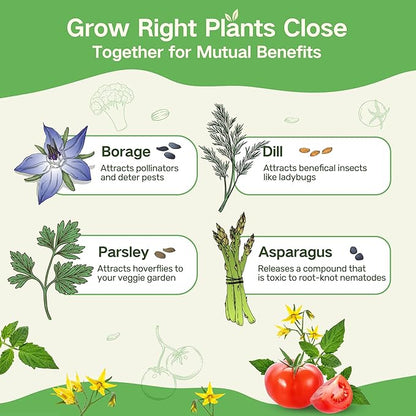 Lush&Dew Full Companion Plants Seed Bank, Gardening Gifts, 32 Varieties Non-GMO Heirloom Seeds for Planting Vegetables Herbs Flowers Fruits, Survival Seed Kit, Emergency Food Supplies