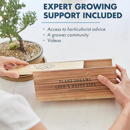 Garden Republic Medium Bonsai Tree Kit, Grow 3 Mini Bonsai Trees, Indoor Plant Growing - Starter Kit with Seeds, Soil, Planters & Shears, Gardening Gifts