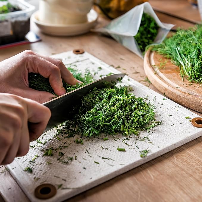 Back to The Roots 100% Organic Heirloom Seeds - Dill Herb Value Pack (2g Total)