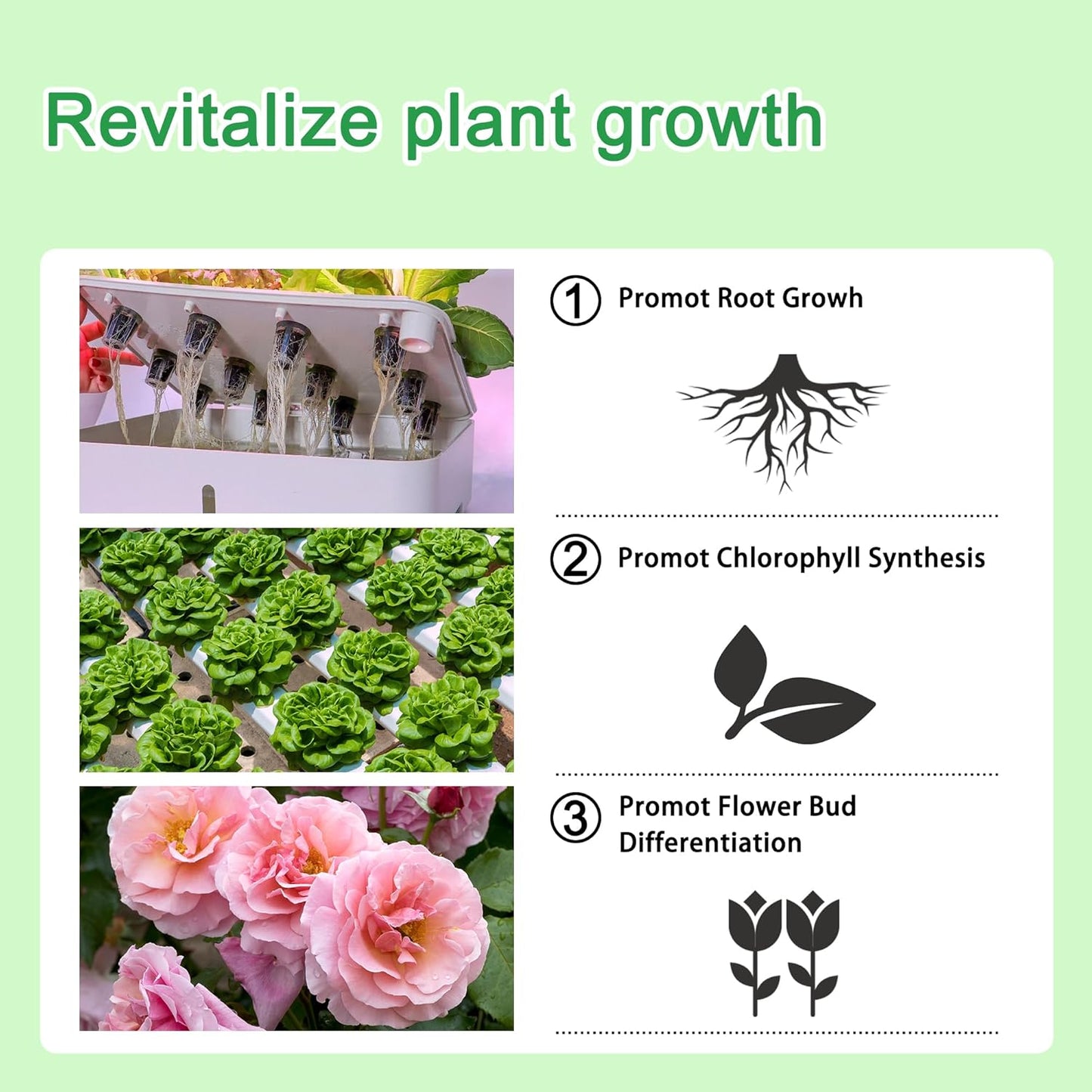 Hydroponics Nutrients (1000ml in Total), A&B Plant Food for Hydroponics Growing System and Potted Houseplants, Plant Fertilizer Supplies