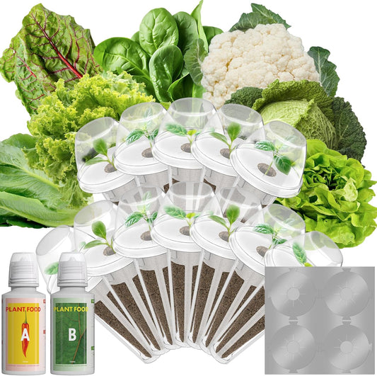 LYKOCLEAN Mix Salad Seed Pods for Aerogarden, Ahopegarden, iDOO Hydroponics Growing System Indoor Herb Garden, 400+ Seeds(12-Pods)