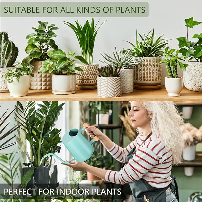 Watering Can Indoor Plants, 35oz Small Indoor Stainless Steel Metal Watering Can Modern Decorative Watering Pot with Long Spout for Indoor House Plant Bonsai Outdoor Garden Flowers -Green