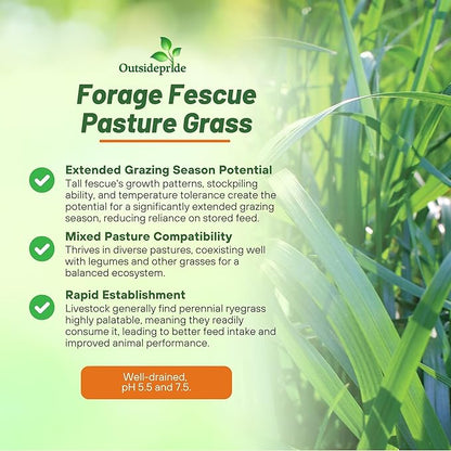 Outsidepride Forage Tall Fescue Grass Seeds - 50 lb. Perennial, Drought-Tolerant & Easy to Grow, Pasture Seeds for Planting Soft & Abundant Grass, Great for Grazing Livestock & Hay Production