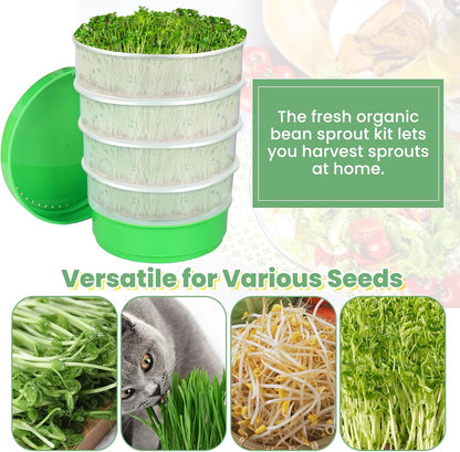 Seed Sprouting Kit - 4-Tier Stackable Seed Sprouter Trays with Drain Holes and Drain Tray, Micro Greens Growing Trays Kit, Soil-Free Sprouter Tray for Beans Alfalfa Seeds