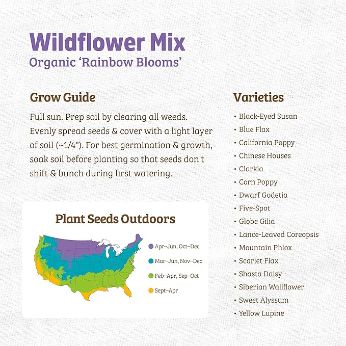 Back to The Roots 100% Organic Heirloom Seeds - Wildflower Mix Value Pack (500mg Total)