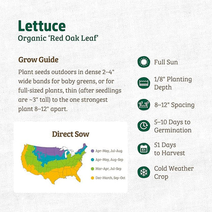 Back to The Roots 100% Organic Heirloom Seeds - Red Lettuce Value Pack (1.4g Total)