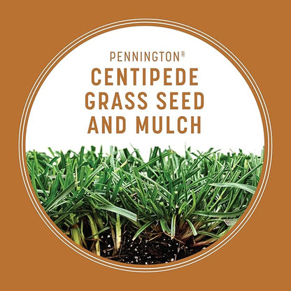 Pennington 100532365 Centipede Grass Seed & Mulch 5 LB, Black Label