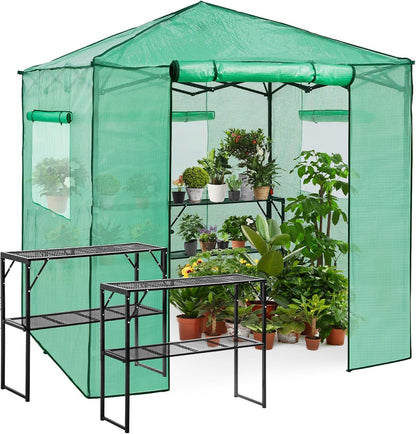 EAGLE PEAK 7x7 Pop up Greenhouse Portable Walk-in Outdoor Gardening Green House with 2 Foldable Shelves, Roll-up Zipper Entry Door and 3 Mesh Windows, PE Cover, Green/Clear