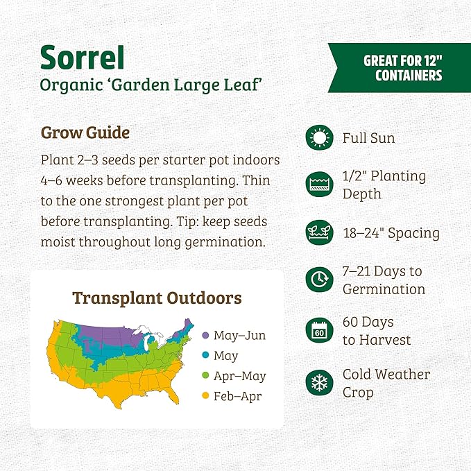 Back to The Roots 100% Organic Heirloom Seeds - Large Leaf Sorrel Value Pack (1.5g Total)