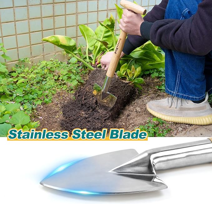 Berry&Bird Perennial Spade, 21.6''Long Trowel for Gardening Root Cutting Tool with Sharp Stainless Steel Blade, Wooden Handle Small Shovel Hand Edger Garden Tool for Planting, Digging & Transplanting