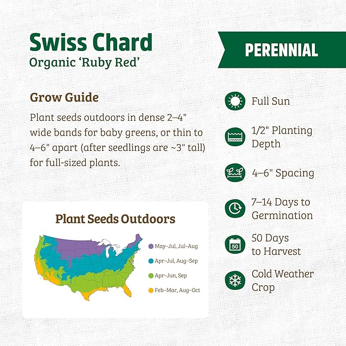 Back to The Roots 100% Organic Heirloom Seeds - Swiss Chard Value Pack (420mg Total)