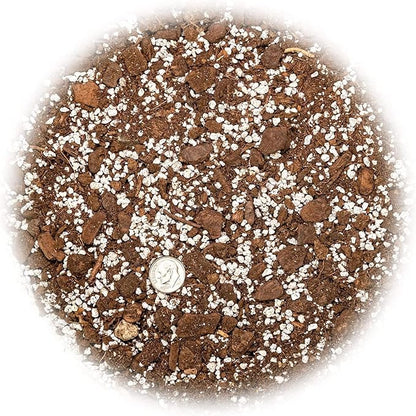 GARDENERA Premium Aloe Vera Potting Soil Mix - (1 Quart Bag)