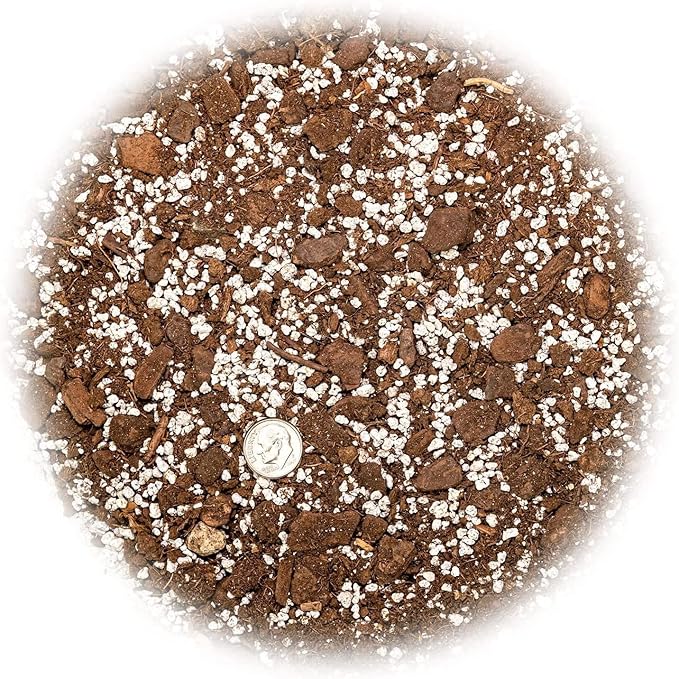 GARDENERA Palm Tree Potting Mix - The Ultimate Soil for Strong and Healthy Palms - Top Choice for Palm Tree Growers [10 Quart Bag]