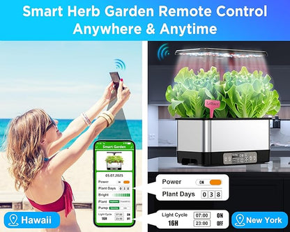 Hydroponics Growing System Indoor Garden, Smart Indoor Herb Garden with Grow Light, in Door Gardening System 8 Pods, APP & WiFi Control, Auto Timer, Quiet Pump, Stainless, Gift for Women Mom, Black