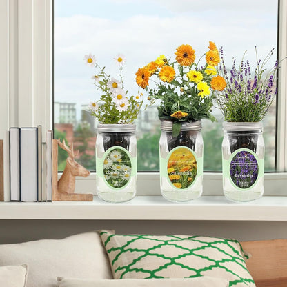 Hydroponic Herb Growing Kit Set, Self-Watering Mason Jar Herb Garden Starter Kit Indoor, Grow Your Own Herbs from Seeds (Calendula, Chamomile & Lavender)