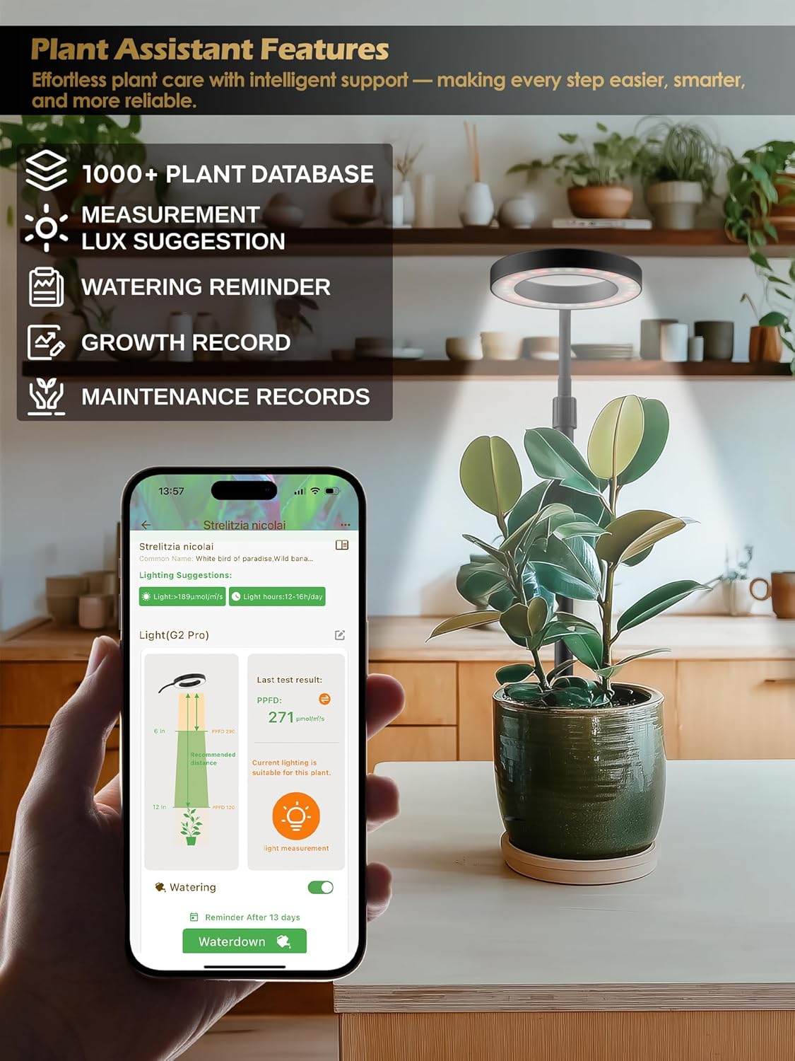 Grow Light with Stand, LED Plant Light for Indoor Plants, Full Spectrum Grow Lamp, Adjustable Height (Black, 8W)