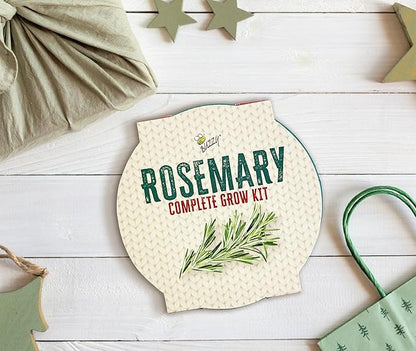 BUZZY Seeds Holiday Rosemary Grow Kit – Indoor Herb Garden Starter Pail with Non-GMO Seeds, Growing Medium, and Easy Instructions – DIY Christmas Gardening Gift, Stocking Stuffer