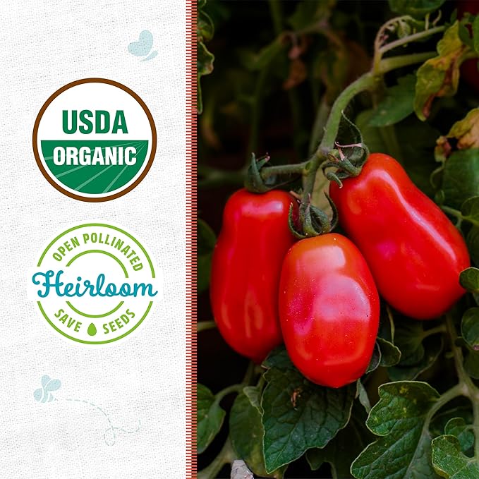 Back to The Roots 100% Organic Heirloom Seeds - San Marzano Tomato Value Pack (200mg Total)