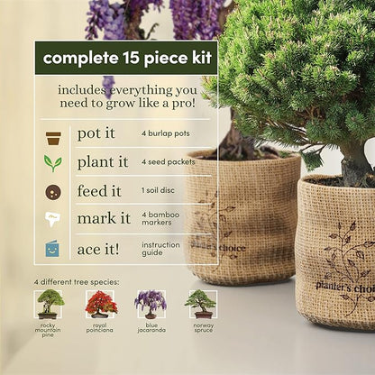 Bonsai Starter Kit - Gardening Easter Gift for Women & Men - Bonsai Tree Growing Garden Crafts Hobby Kits for Adults, Unique DIY Hobbies for Plant Lovers - Unusual Christmas Gifts Ideas