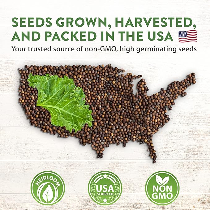 HOME GROWN 21,600+ Lettuce Seeds for Planting - 20 Heirloom Varieties, Non-GMO USA - Romaine, Butterhead, Iceberg, Leaf Lettuce, Spinach & Kale - Indoor, Outdoor & Hydroponic Garden Kit