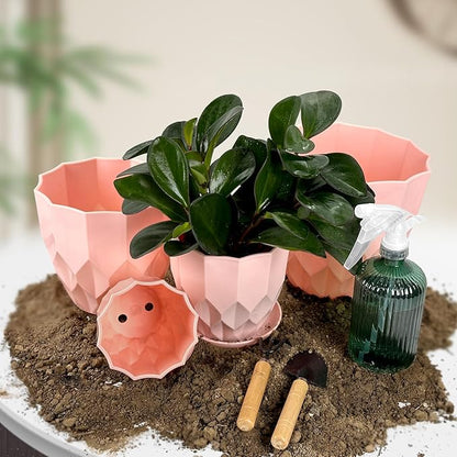 Flower Pots, 8.3/7.1/5.9/4.3 inch Nursery Plant Pot with Drainage Holes and Hole Mesh Pad and Saucers Tray for Indoor Garden Plants, Succulent, Orchid and Cactus