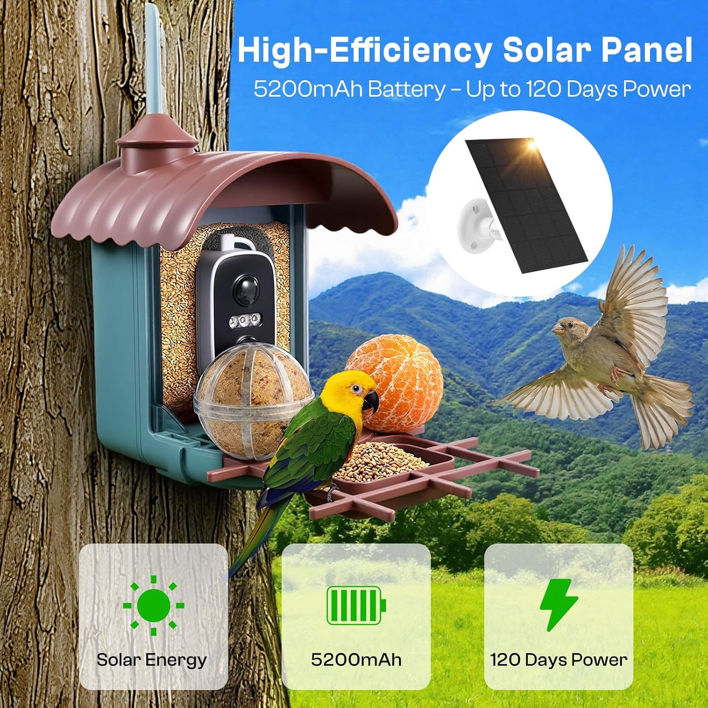 Smart Bird Feeder with Camera – AI Recognition, 130° Wide Angle, Solar & USB Powered, IP65 Waterproof, Motion Detection, Night Vision, Two-Way Audio, Cloud Storage–for Nature Lover (Bird Feeder)