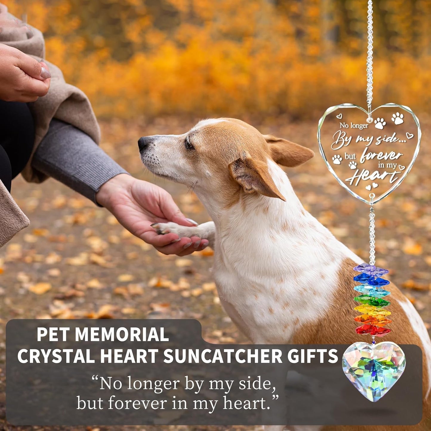 Pet Memorial Crystal Suncatcher Gifts for Loss of Dog/Cat, Window Hanging Crystal Heart Prism Sun Catcher Rainbow Maker Pendant