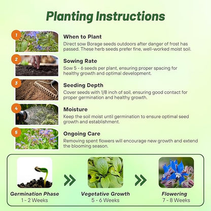 Outsidepride Blue Borage Seeds for Planting – 1 oz. Annual, Drought-Tolerant Herb Seeds with Star-Shaped Blooms, Attracts Bees for Pollinator Gardens, Summer Teas, Decoration & Culinary Use