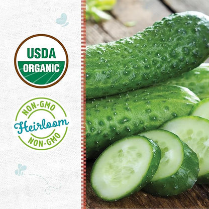 Back to The Roots 100% Organic Heirloom Seeds - Pickling Cucumber Seeds for Planting Value Pack (3g Total)