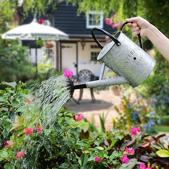 Galvanized Watering Can for Outdoor Indoor Plants, 1 Gallon Decorative Countryside Style Water Can with Removable Spout, Perfect Metal Watering Can for Indoor Plants and Garden Flower
