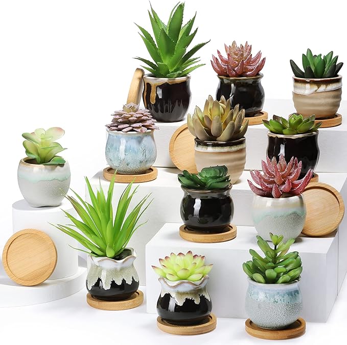 Remerry 12 Pcs Small Succulent Pots Bulk with Drainage Assorted 2.5 Inch Mini Ceramic Succulent Planters Pot with Coaster Bamboo Plant Tray Planting Pots for Home Office Garden (Rich Color)