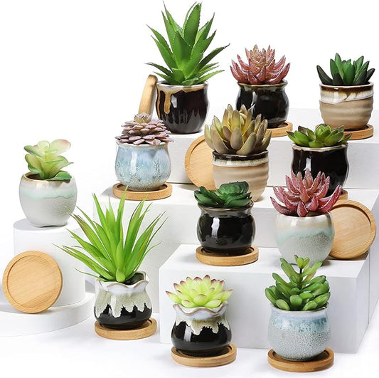 Remerry 12 Pcs Small Succulent Pots Bulk with Drainage Assorted 2.5 Inch Mini Ceramic Succulent Planters Pot with Coaster Bamboo Plant Tray Planting Pots for Home Office Garden (Rich Color)