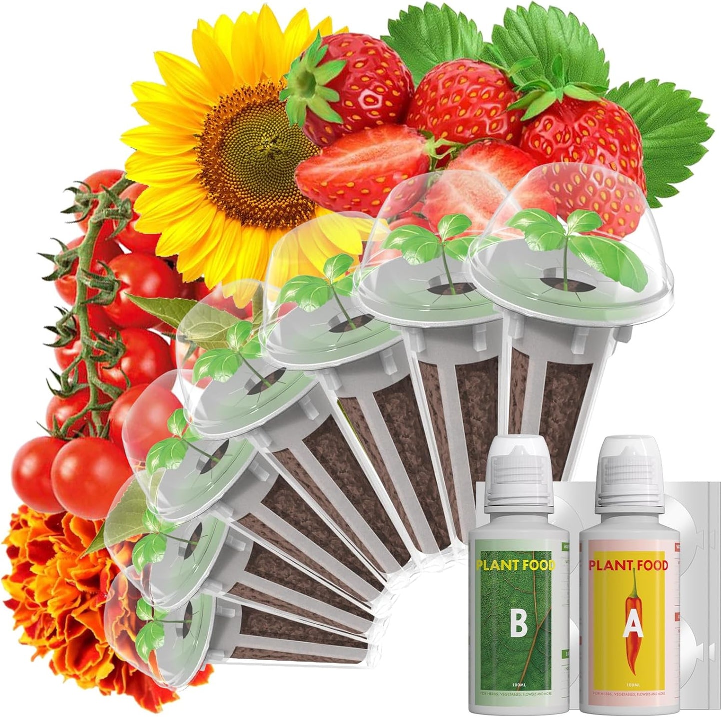 LYKOCLEAN Flower Fruit Seed Pods for AeroGarden, Ahopegarden, iDOO Hydroponics Growing System Indoor, 350 Seeds+ Including Dwarf Sunflower Bambino, Marigold, Red Tomato, Red Strawberry (7-Pods)