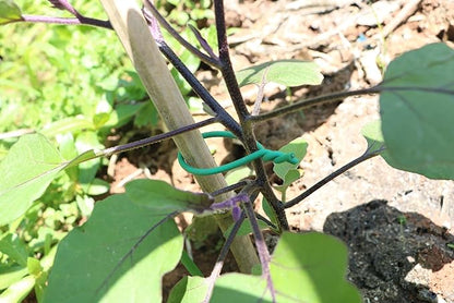 Garden Flexible Wire Tie, TPR Soft Twist Plant Ties Support Plant Vines for Supporting and Fixing Garden Planting Branches Vines & Stems ,Organize Data Wire and Office Organization (100ft, 0.2in)
