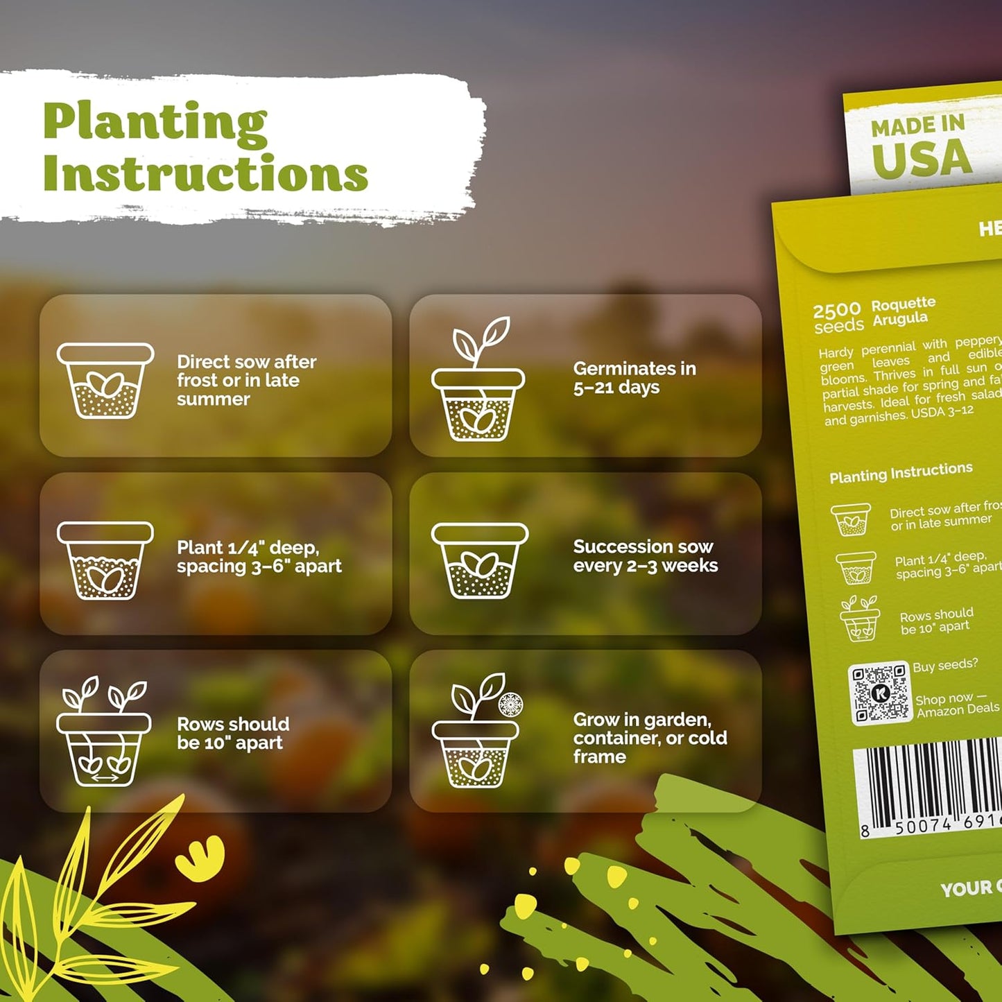 KVITER 2500 Roquette Arugula Seeds (Diplotaxis tenuifolia) - Arugula Fresh Organic & Non GMO Perennial Seed, Wild/Wall Rocket - Heirloom Herb Seeds for Planting in Outdoor & Indoor Garden