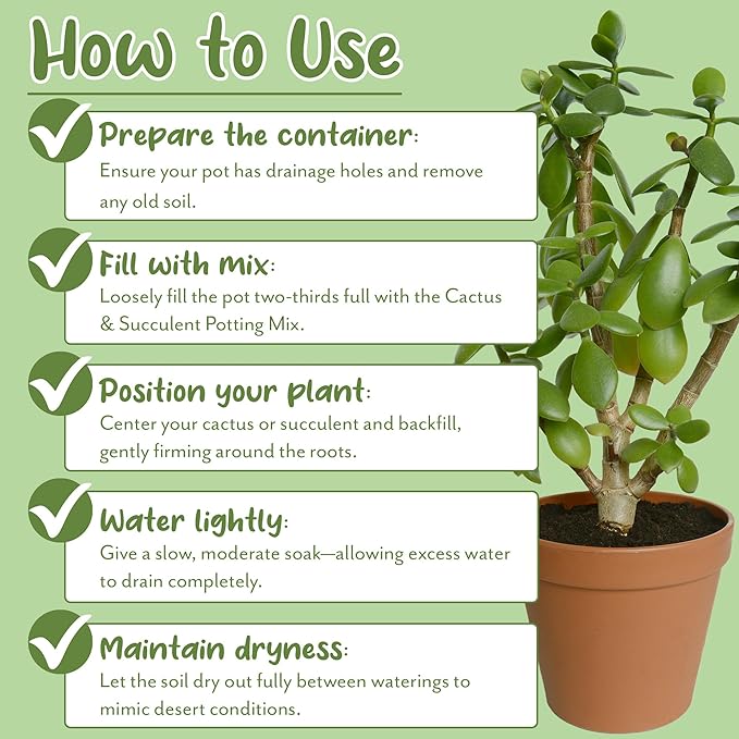 Cactus and Succulent Potting Mix (2 Quarts), Special Blend-Fast Draining and Desert-Style Gritty